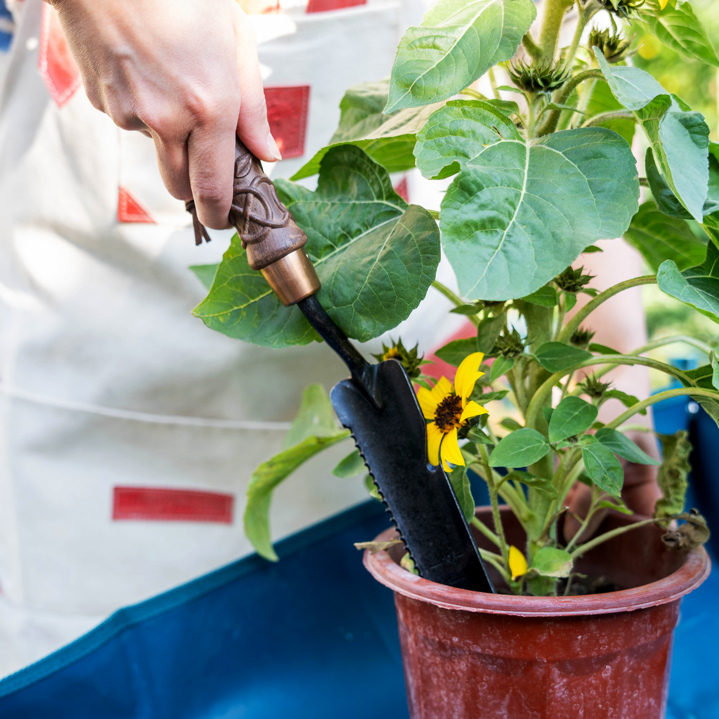 Nordic Carved 5-in-1 Hand Multi Weeder