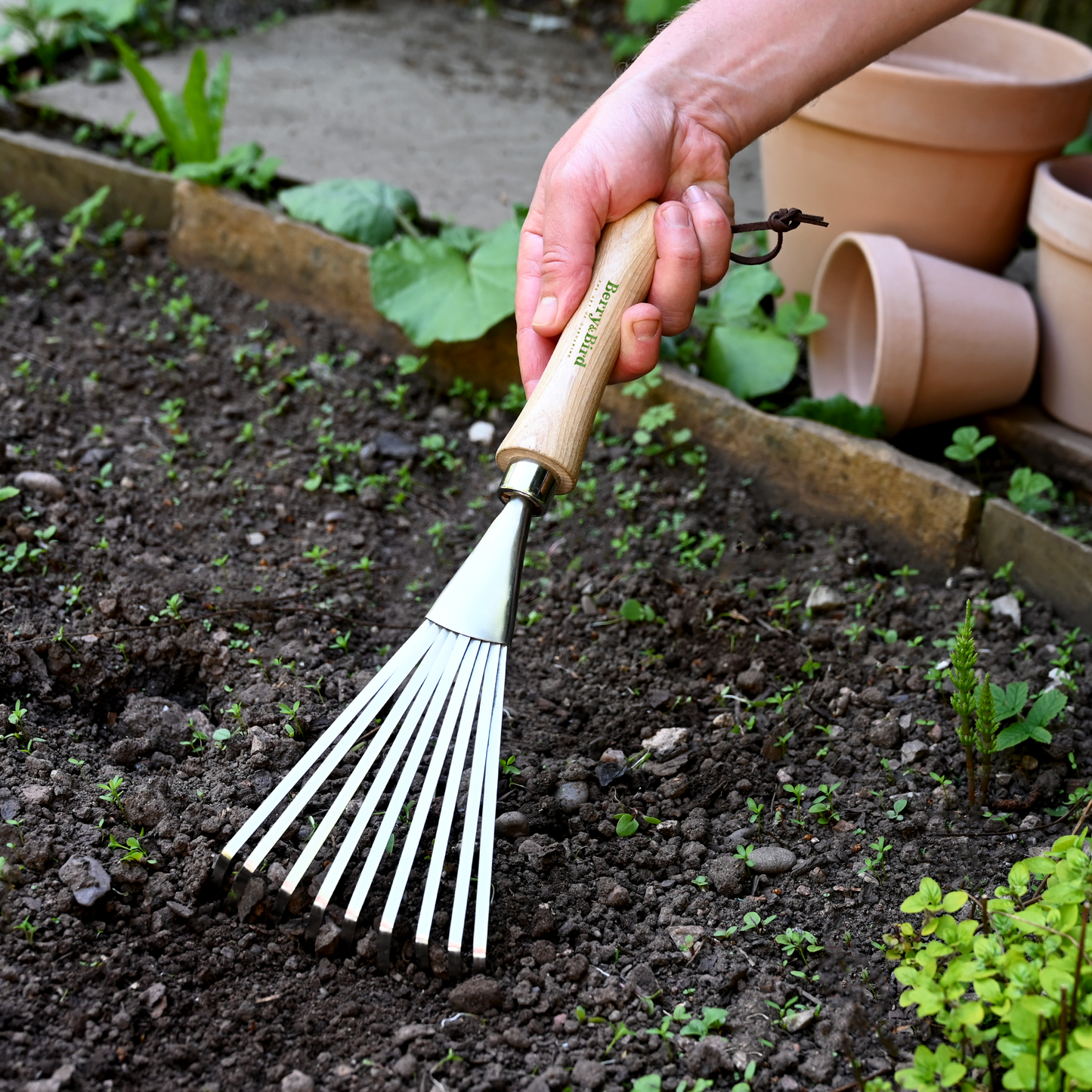 Stainless Steel Hand Shrub Rake