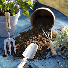 Planting