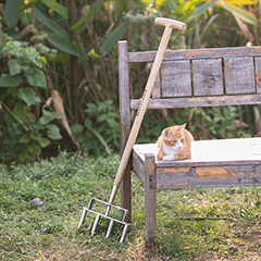 Lawn Caring Tools