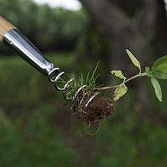 Weeding Tools