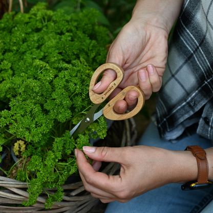 Garden Floral Snips