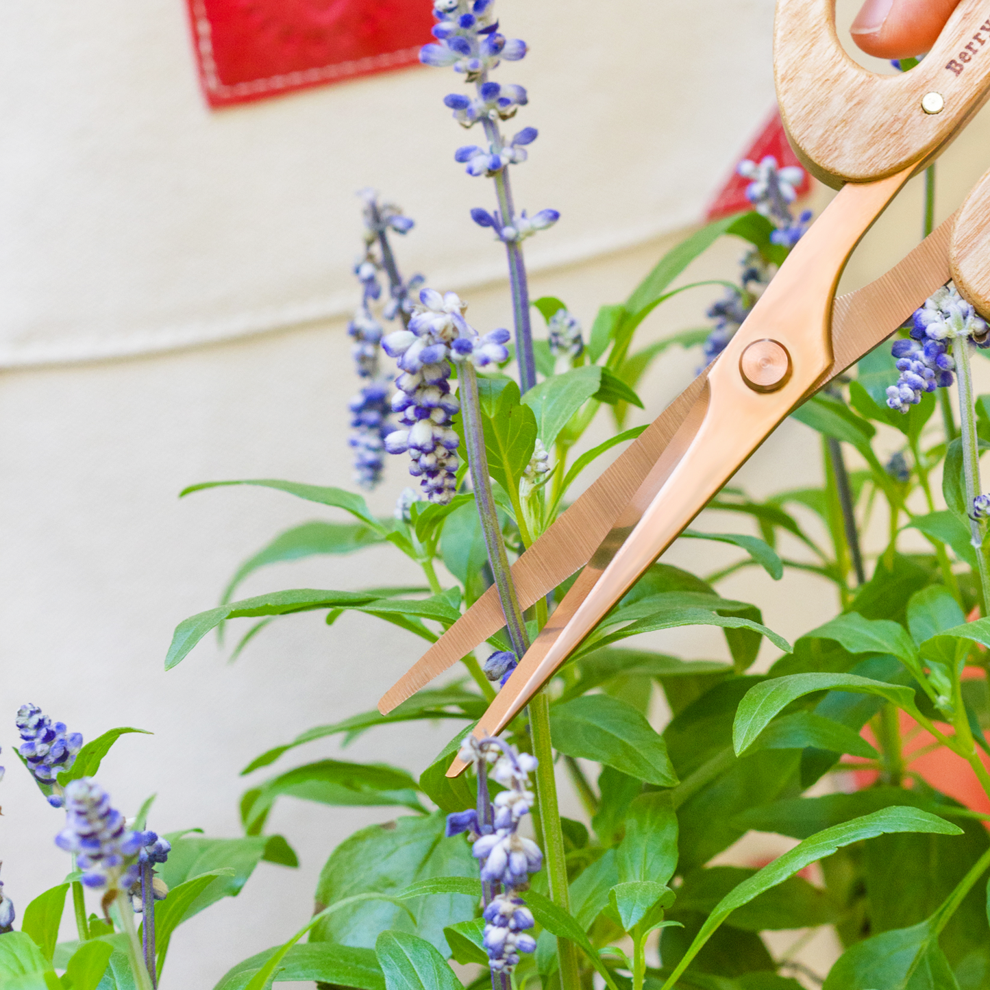 Garden Floral Snips (Rose Gold)