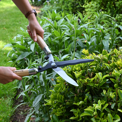 Garden Hedge Shears