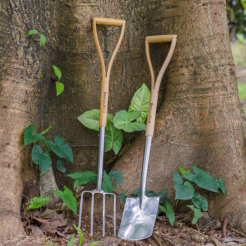 Garden Tools 4-Tine Kid Digging Fork 29 Inch with D-Handle Stainless Steel Spading Fork