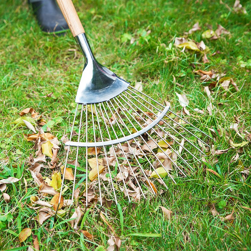 Garden Tools Long Handle Leaf Rake 55 inch Stainless Steel Shrub Rake 16 Tines Fan Garden Rake with Wooden Handle