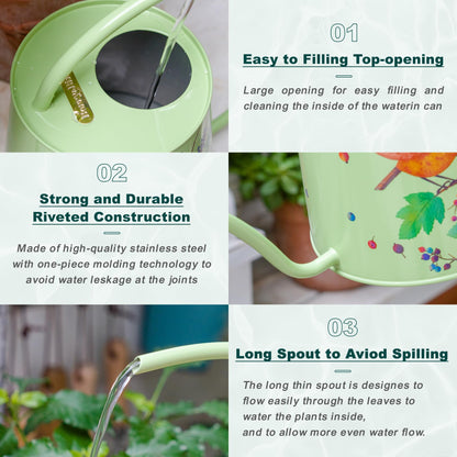 Stainless Steel Long Spout Watering Can (Robin)