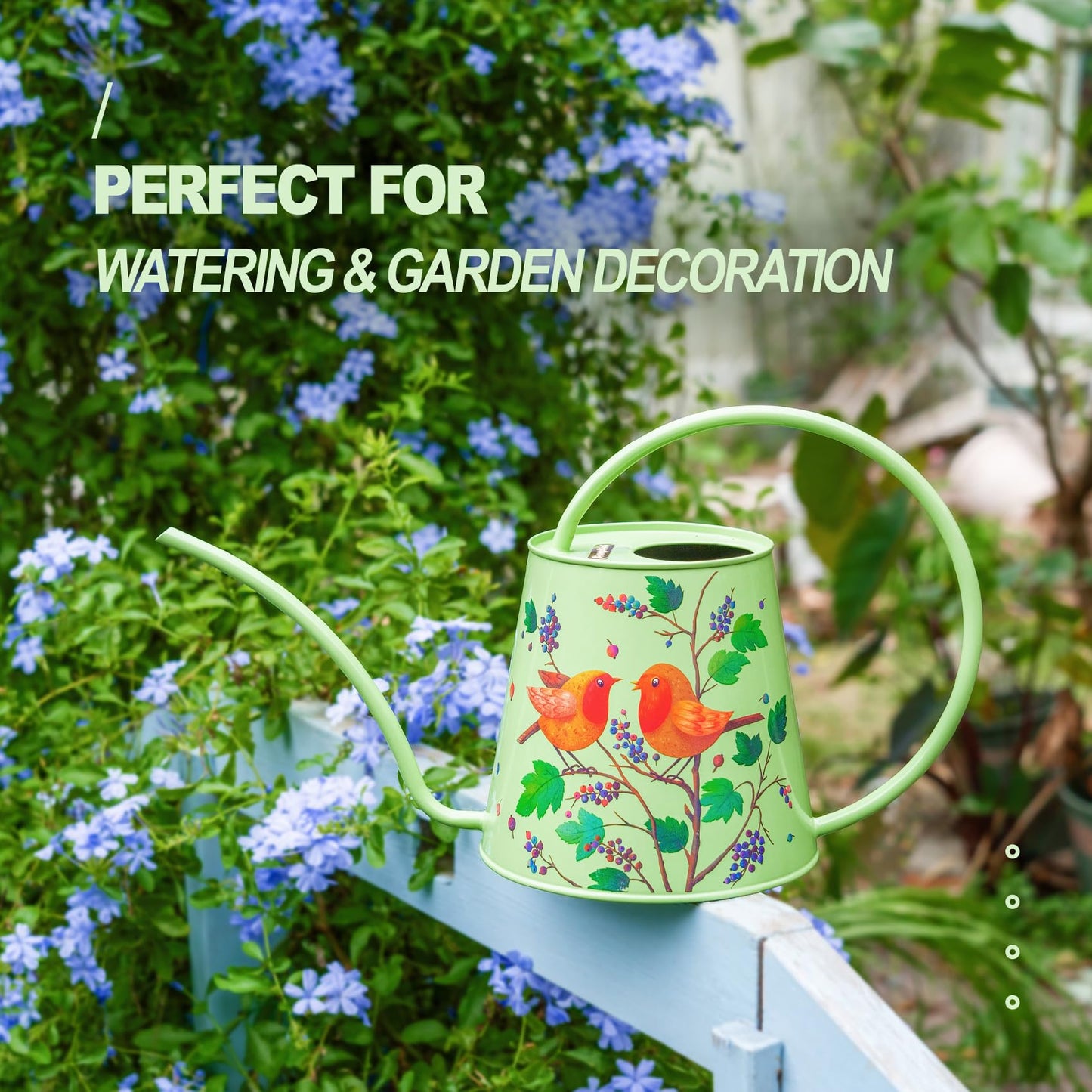 Stainless Steel Long Spout Watering Can (Robin)