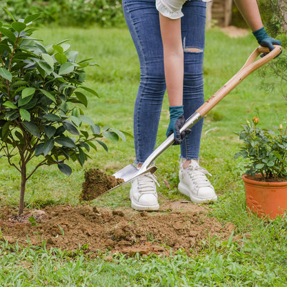 Garden Tools Planting Spade Stainless Steel Drain Spade Shovel 42.5 Inch with Wooden D-Grip Handle