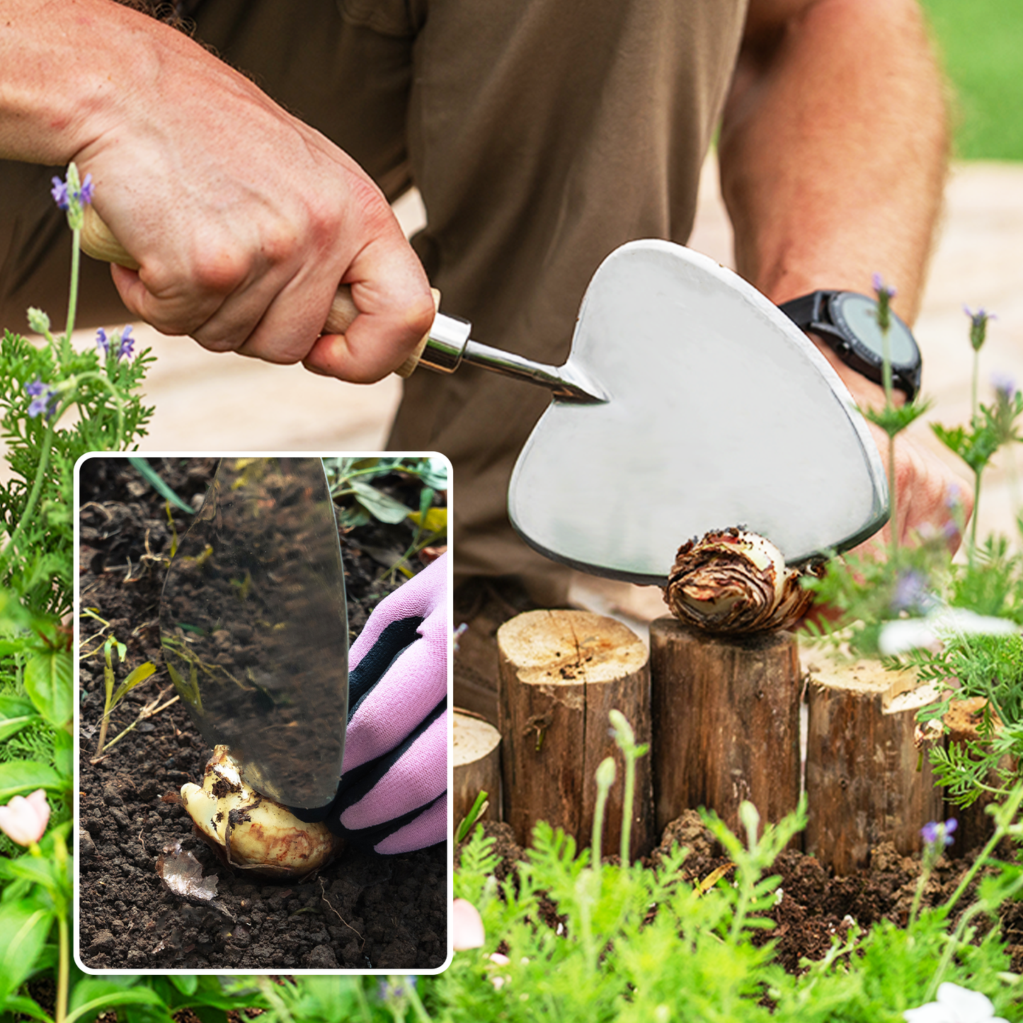 Heart Shaped Perennial Hand Trowel