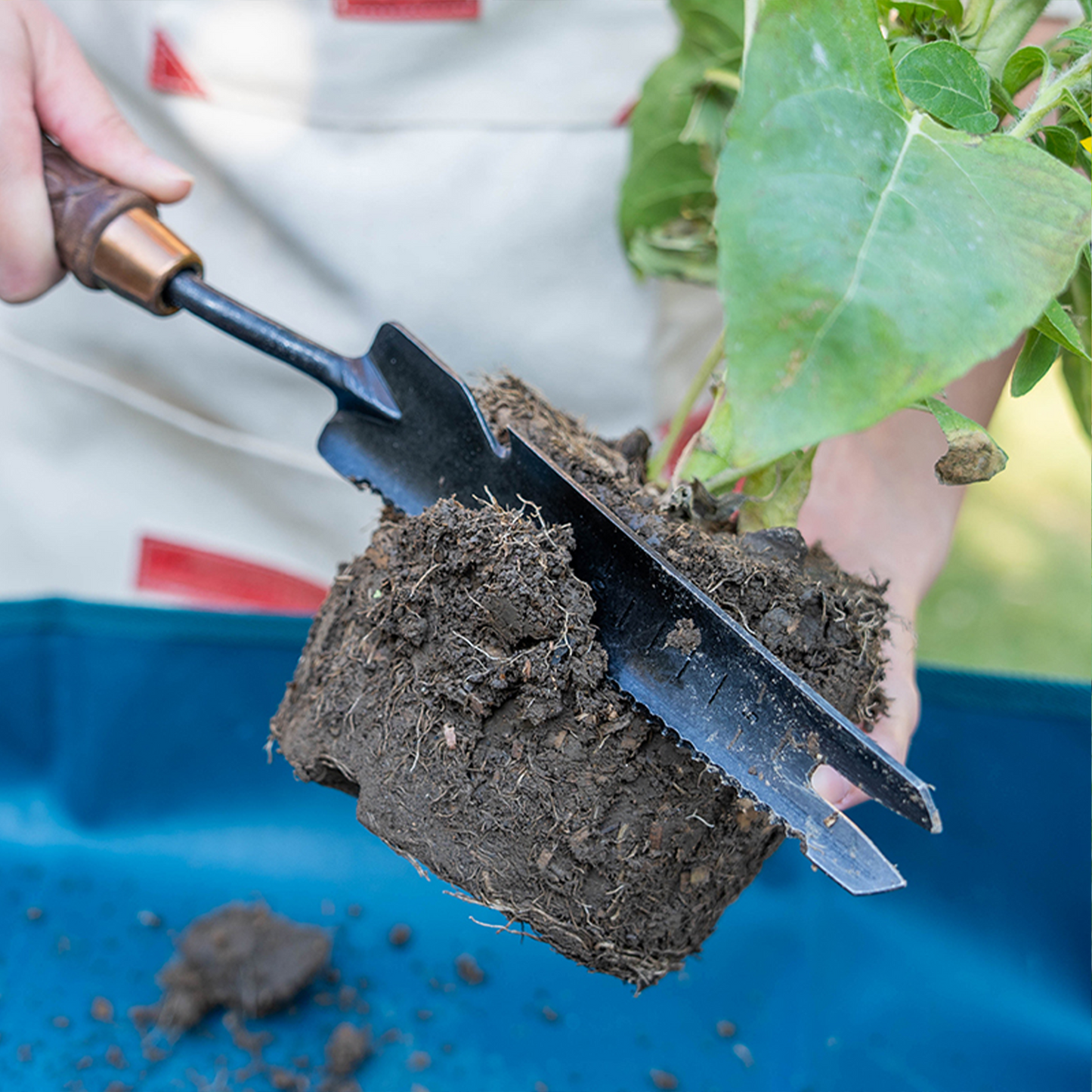 Nordic Carved 5-in-1 Hand Multi Weeder