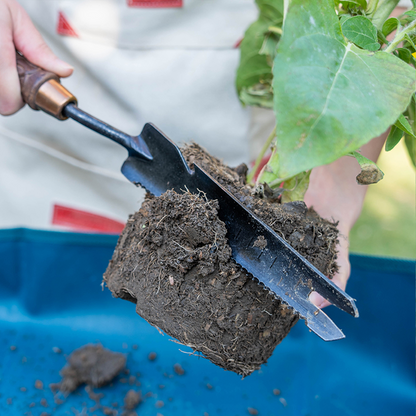 Nordic Carved 5-in-1 Hand Multi Weeder