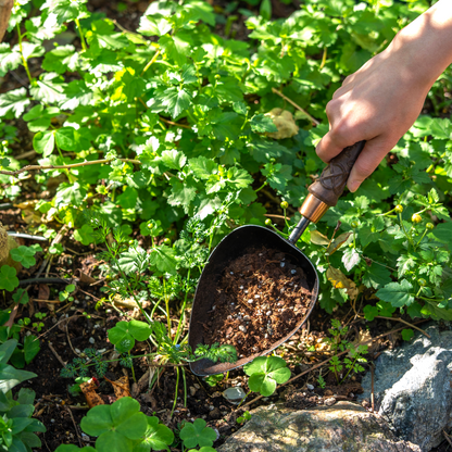 Nordic Carved Hand potting scoop