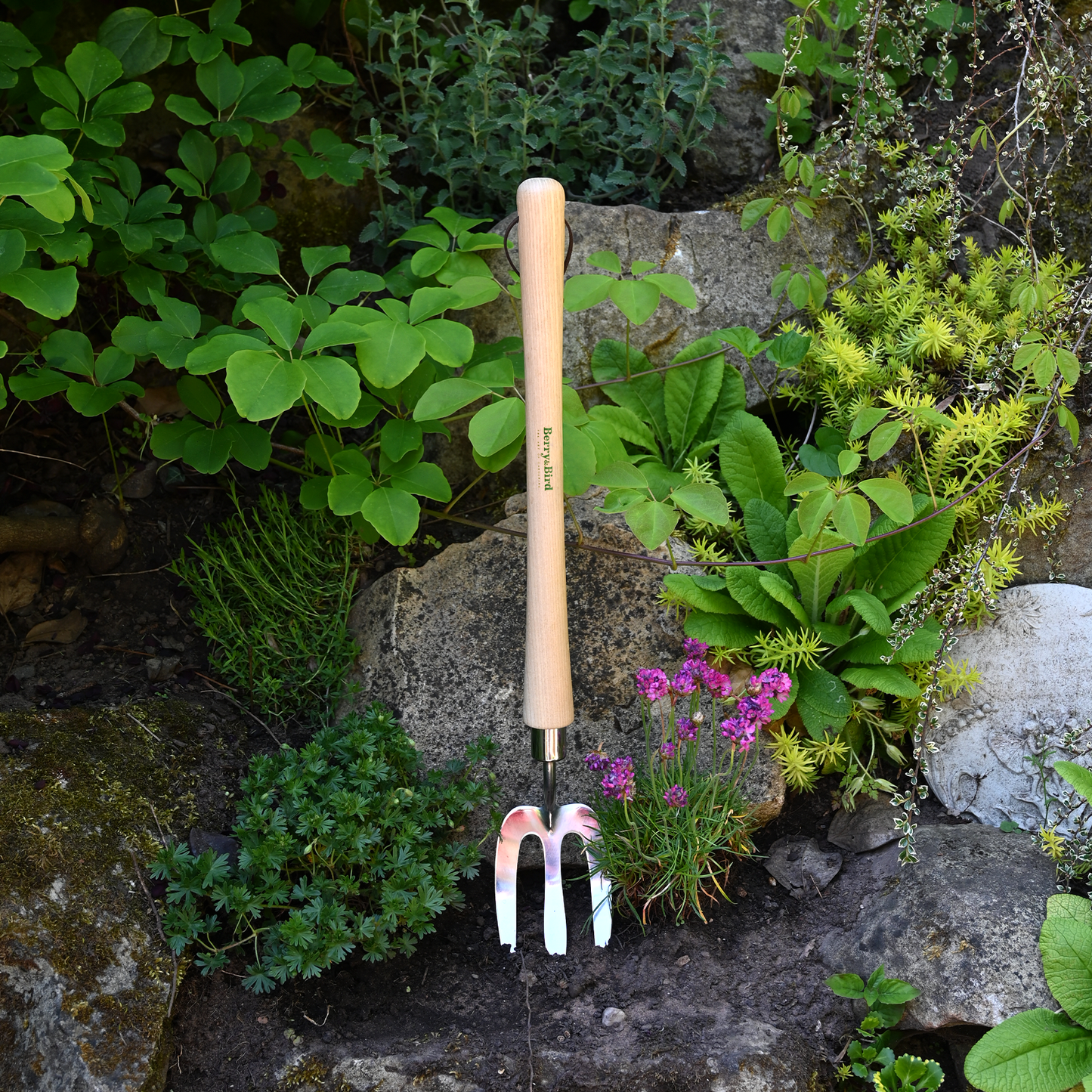 Stainless Steel Border Hand Fork