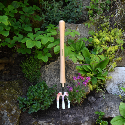 Stainless Steel Border Hand Fork