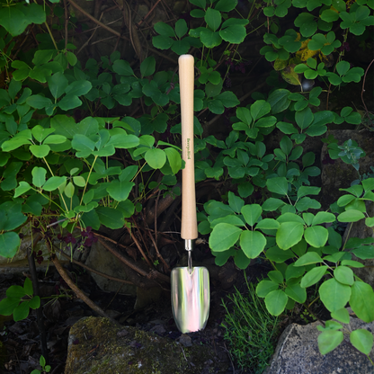 Stainless Steel Border Hand Trowel