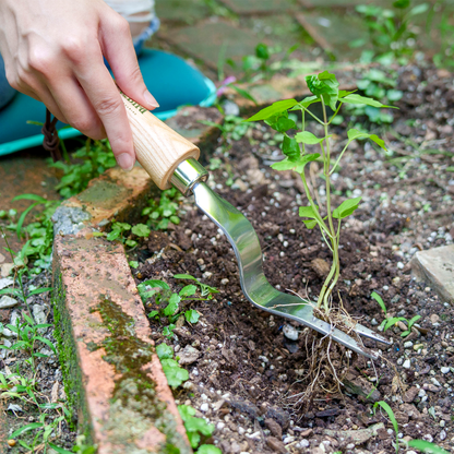 Stainless Steel Hand Daisy Grubber