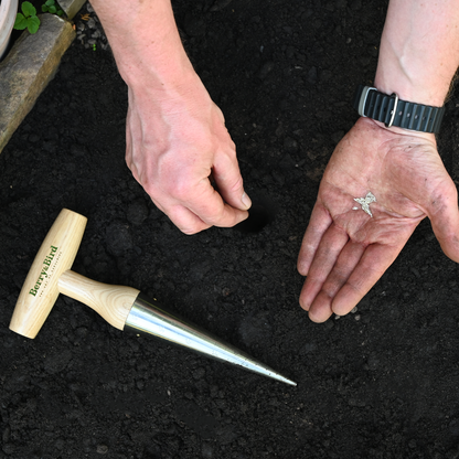 Stainless Steel Hand Dibber