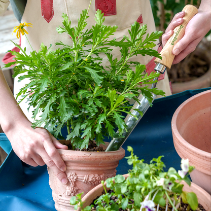 Stainless Steel Hand Widger