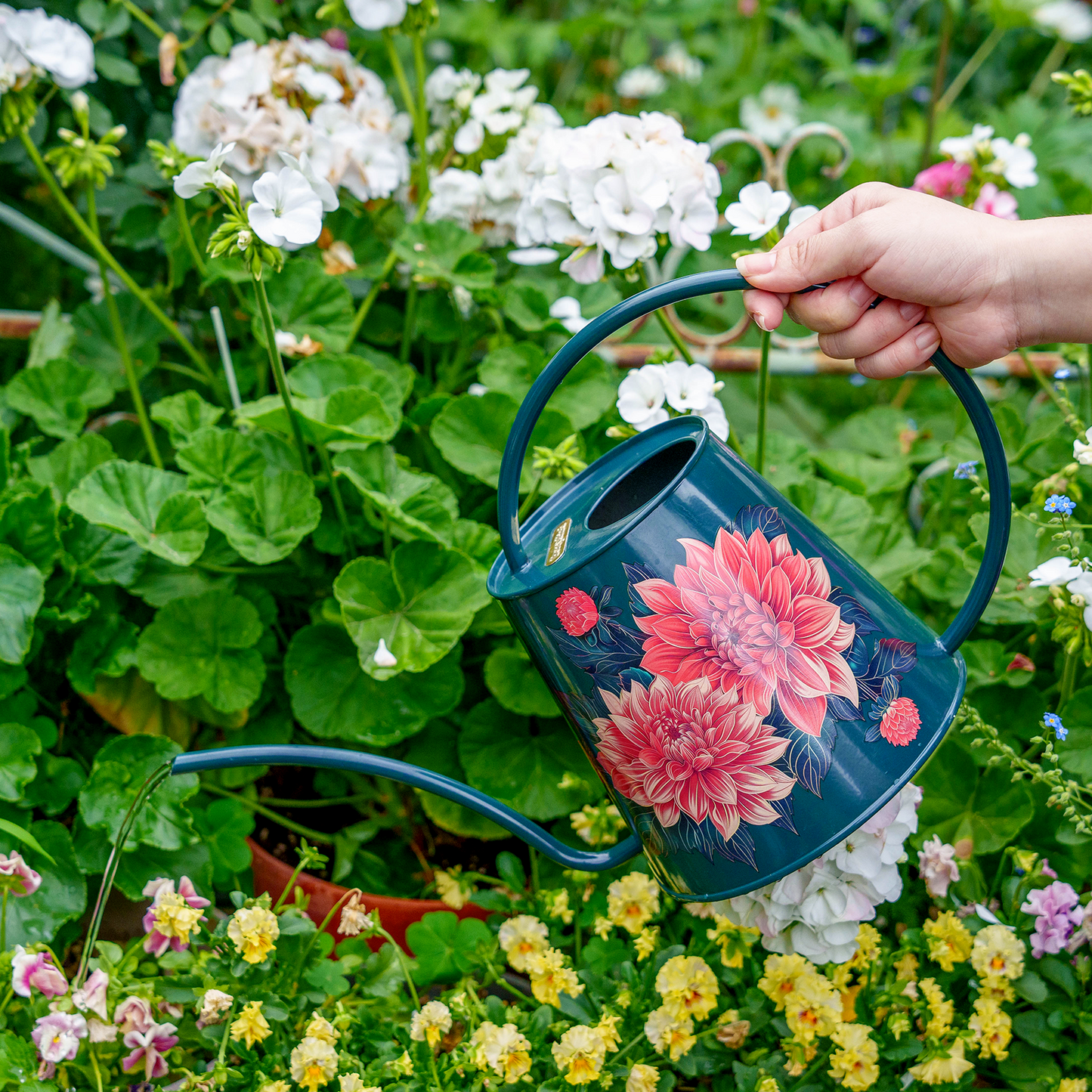 Stainless Steel Long Spout Watering Can (Dahlia)