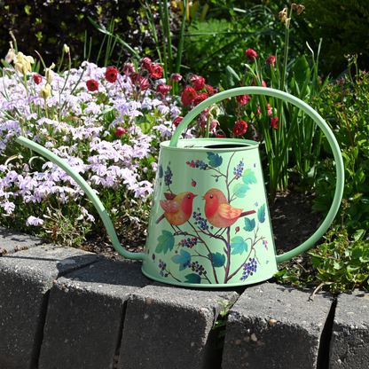Stainless Steel Long Spout Watering Can (Robin)