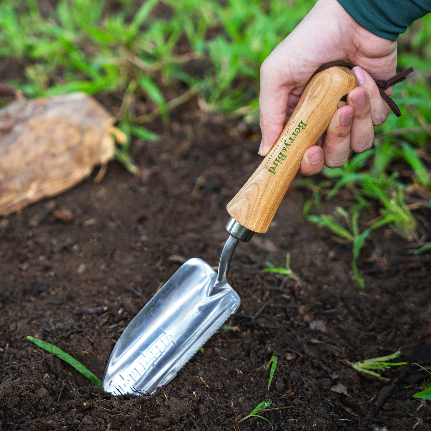Stainless Steel Pointed Transplanting Trowel
