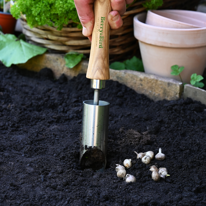 Stainless Steel Small Bulb Planter