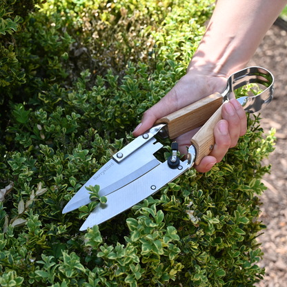 Topiary Shears