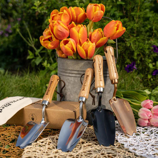 Tulip Garden Tool Set 3 PCS Stainless Steel Gardening Tool Kit for Lady (Black, Rose Gold, Sliver)