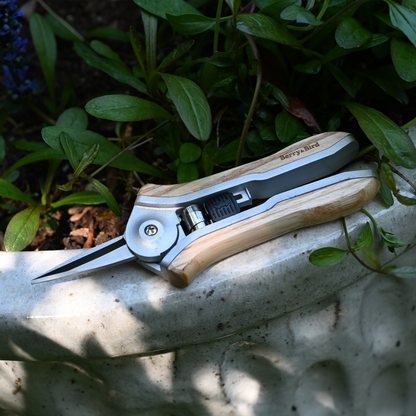 Wood Handle Pruning Snips