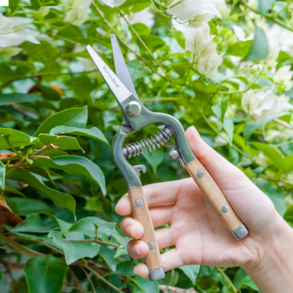 Wooden Handle Pruning Secateurs