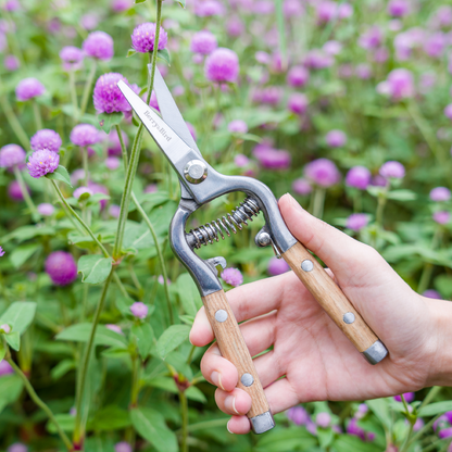 Wooden Handle Pruning Secateurs