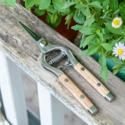 Wooden Handle Pruning Secateurs