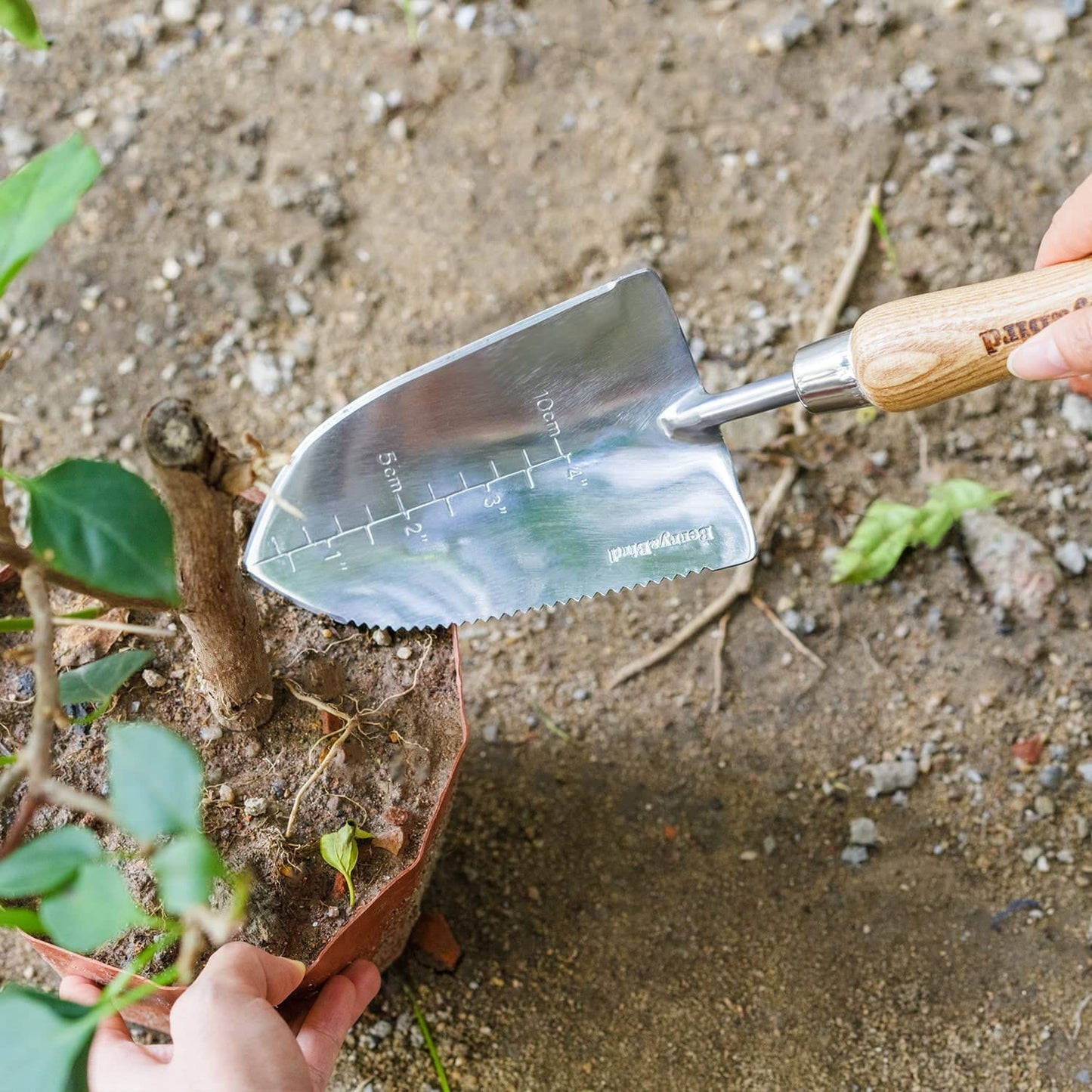 Garden Tools Potting Serrated Planting Trowel 12.4 Inch with Wood Handle Stainless Steel Digging Trowel Transplanter